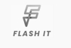 Flash IT Managed Services Provider Avatar